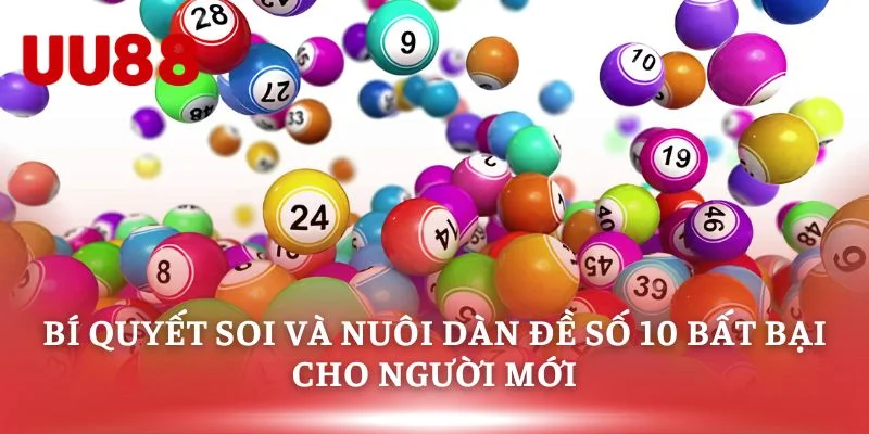 Bí Quyết Soi Và Nuôi Dàn Đề Số 10 Bất Bại Cho Người Mới