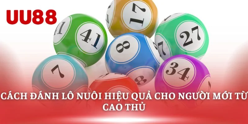 Cách Đánh Lô Nuôi Hiệu Quả Cho Người Mới Từ Cao Thủ