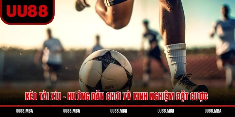 Kèo Tài Xỉu - Hướng Dẫn Chơi Và Kinh Nghiệm Đặt Cược