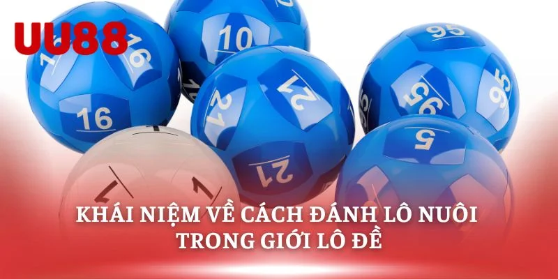 Khái niệm về cách đánh lô nuôi trong giới lô đề