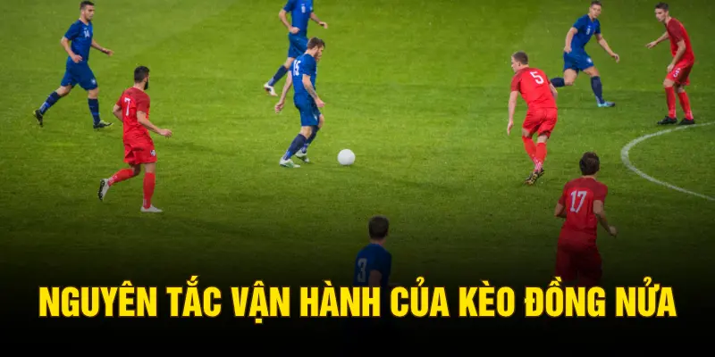 Nguyên tắc vận hành của kèo đồng nửa