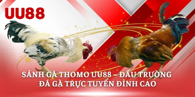 Sảnh Gà Thomo UU88 - Đỉnh Cao Cá Cược Đá Gà Độc Quyền 2026